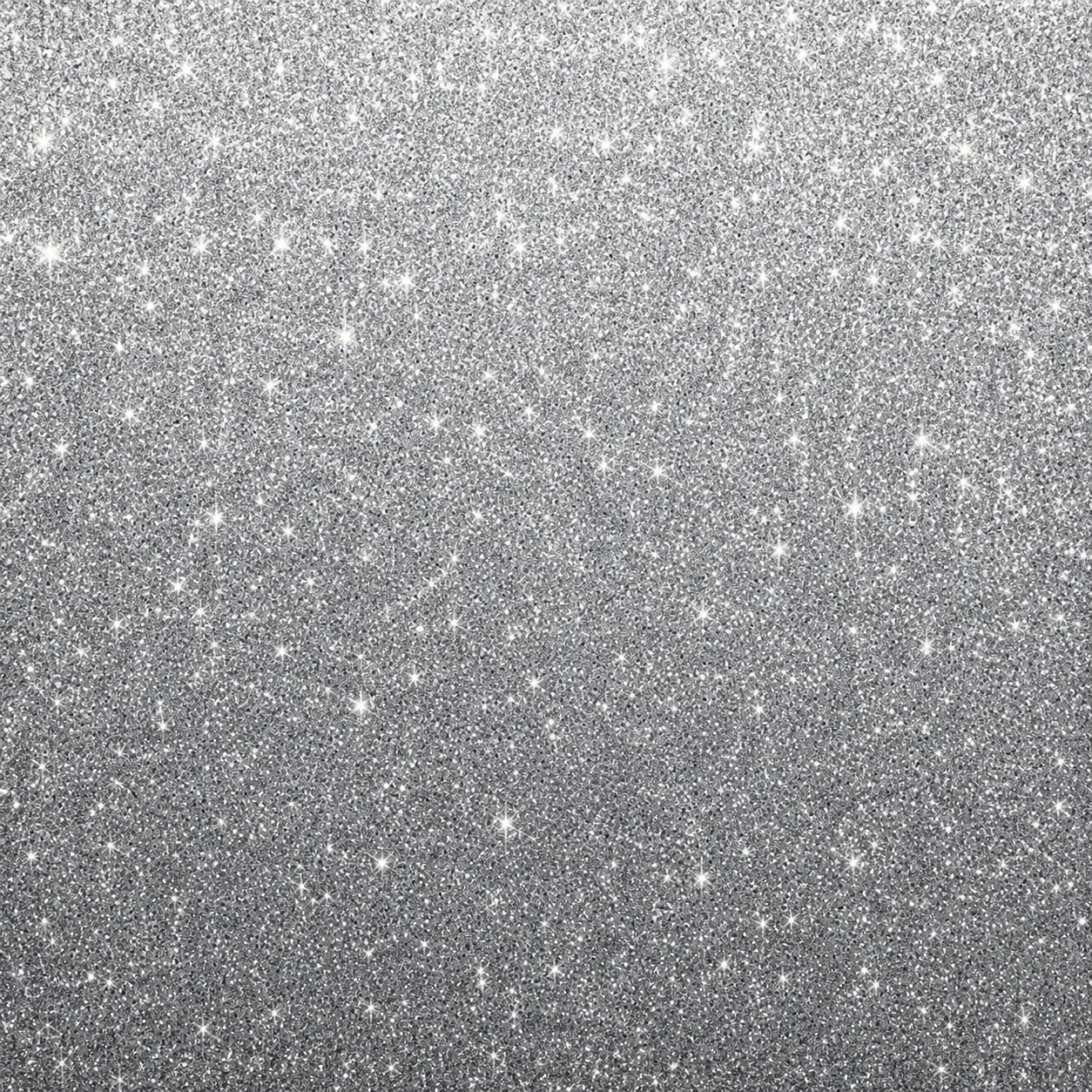 Silver Sequin